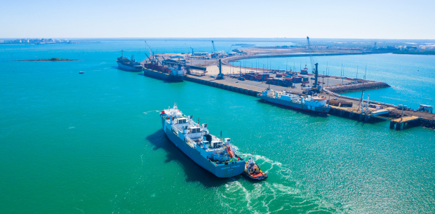 cattle ship